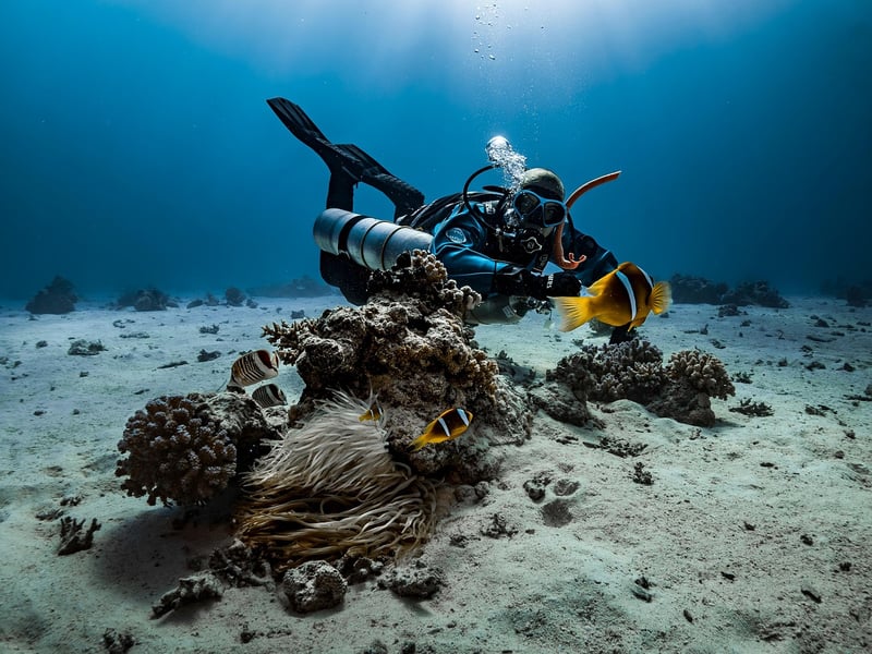 SS Thistlegorm, Red Sea